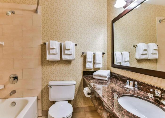 Comfort Inn & Suites Ambassador Bridge