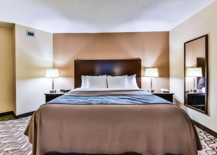 Comfort Inn & Suites Ambassador Bridge