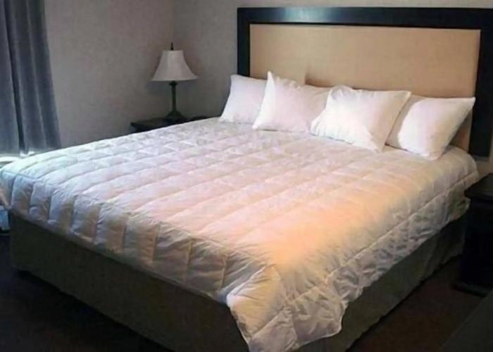 Quality Inn And Suites Lethbridge
