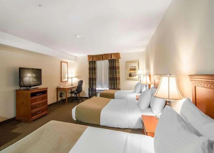 Quality Inn & Suites