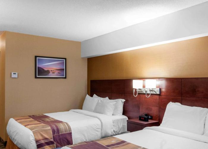 Quality Hotel & Suites