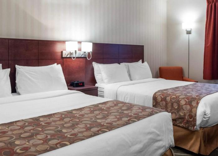 Quality Hotel & Suites