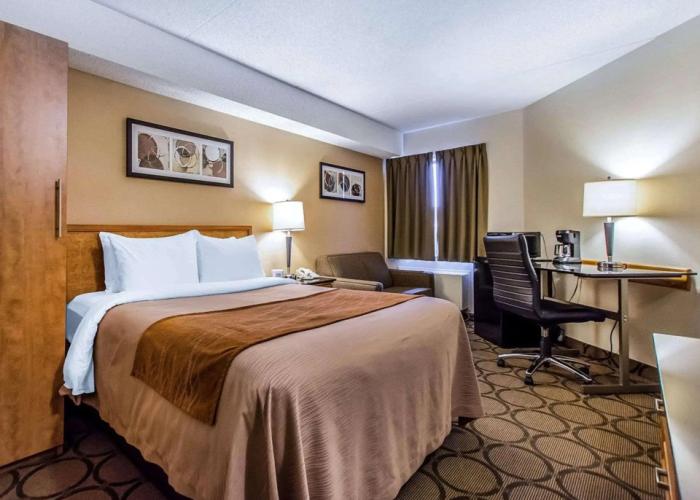 Comfort Inn East