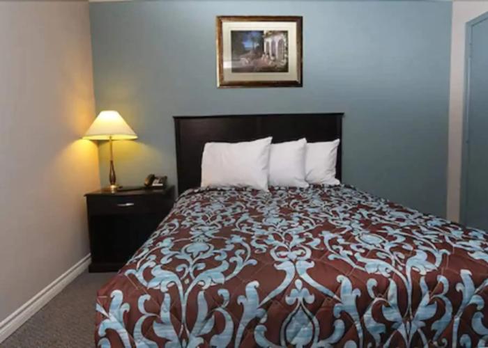 Belmont inn