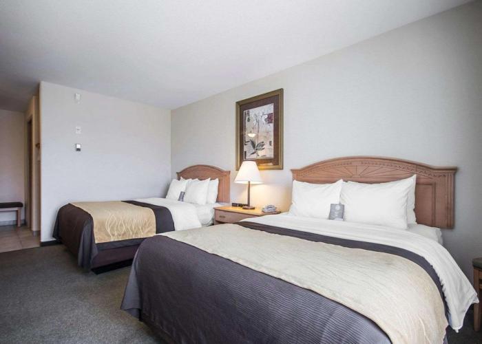 Comfort Inn & Suites