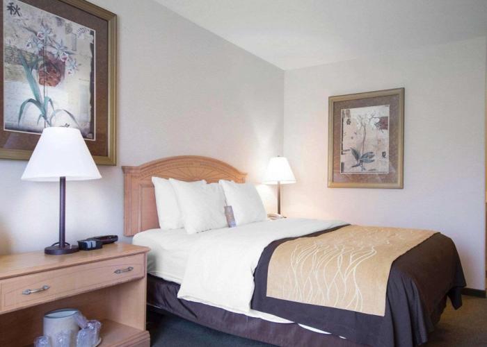 Comfort Inn & Suites