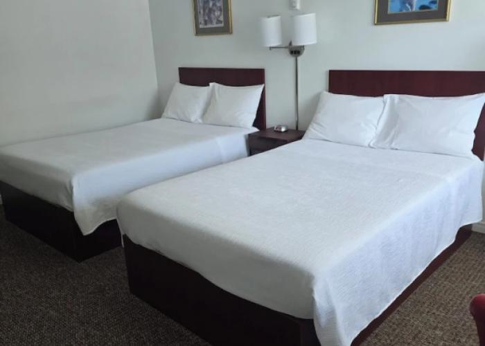White Fang Motel