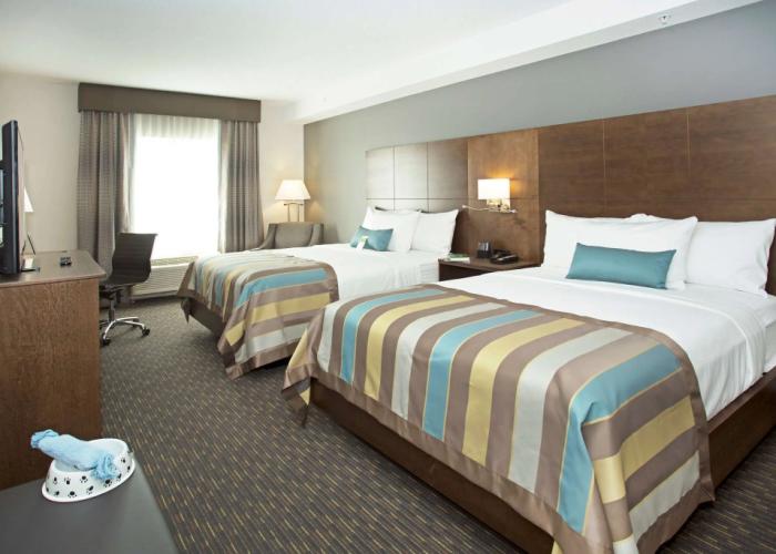 Wingate By Wyndham Calgary Airport