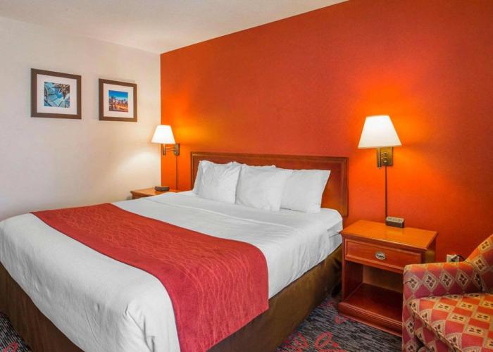 Comfort Inn & Suites University