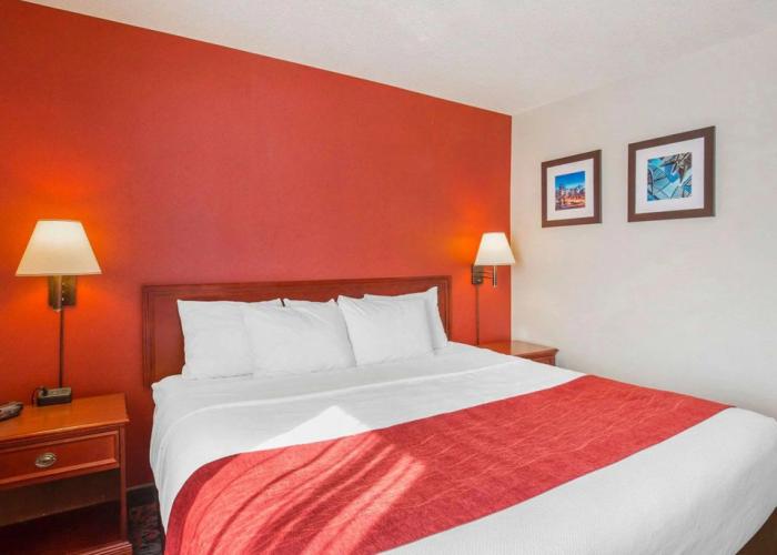 Comfort Inn & Suites University