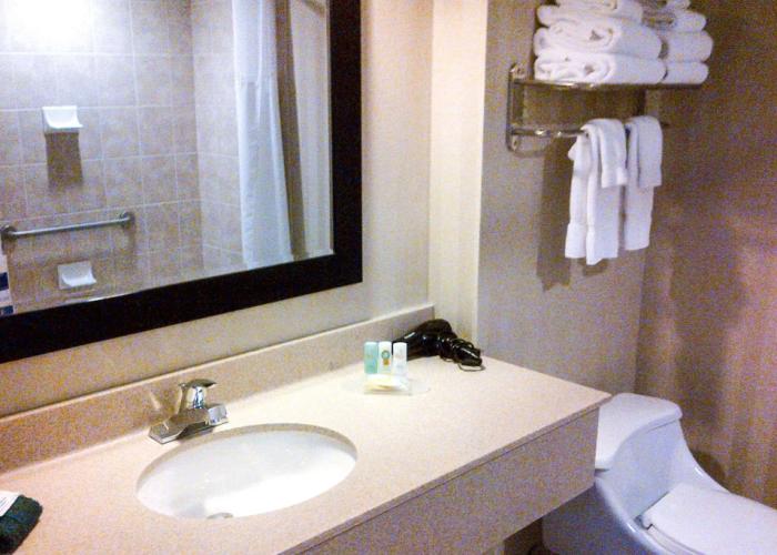 Quality Inn & Suites Downtown