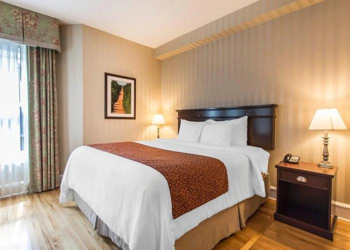 Quality Inn & Suites Downtown