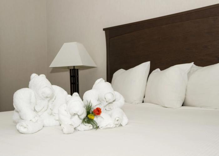 Quality Inn & Suites Yellowknife