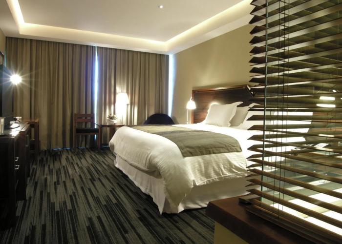 Hotel Dreams Pedro de Valdivia