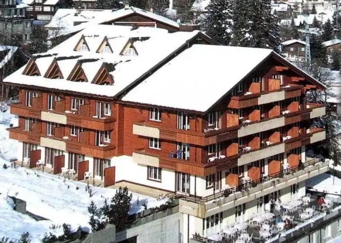 Hotel Steinmattli