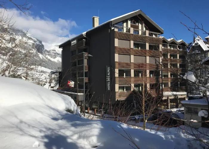 Hotel des Alpes