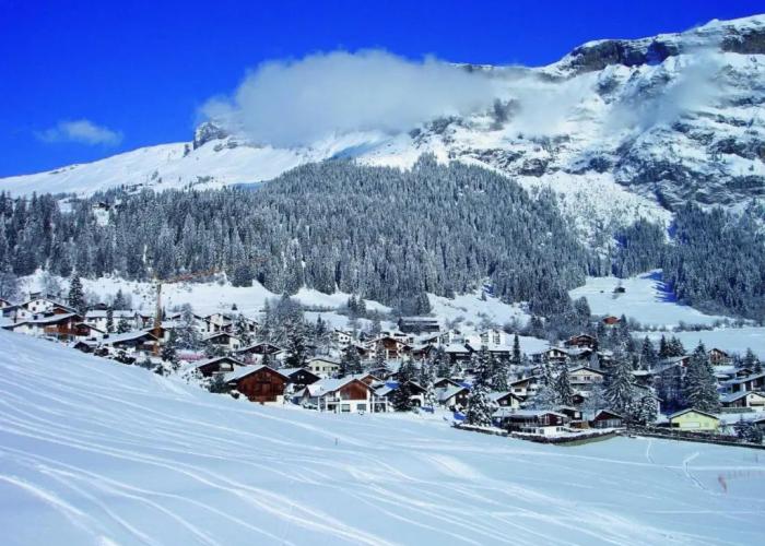 Hotel des Alpes