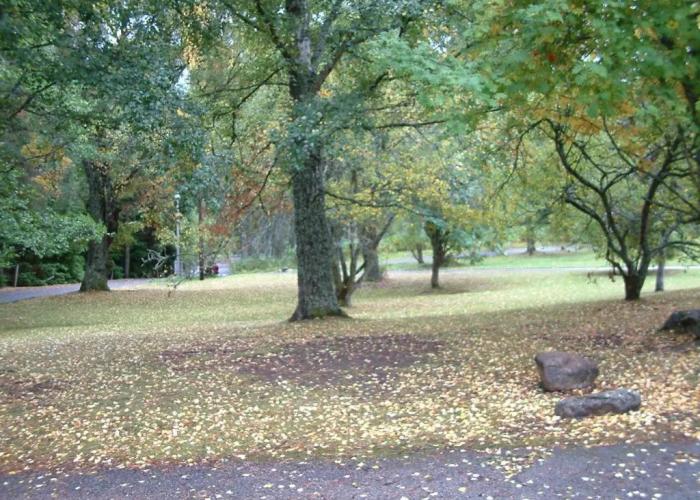 Aviemore Youth Hostel