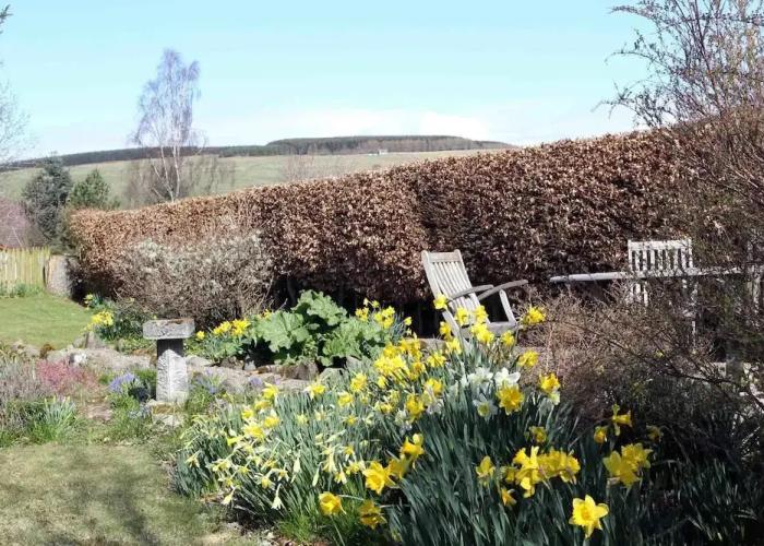 Shian Cottage B&B