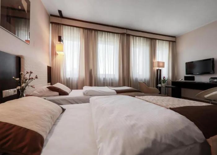 Hotel Borowiecki