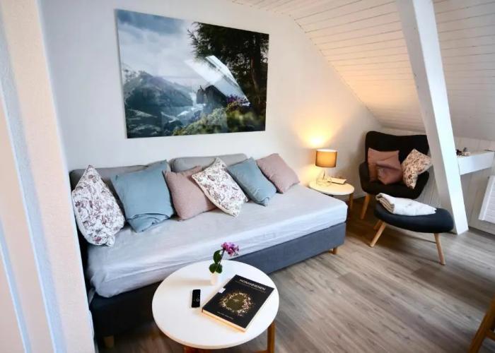 ALP APARTMENTS with self check-in