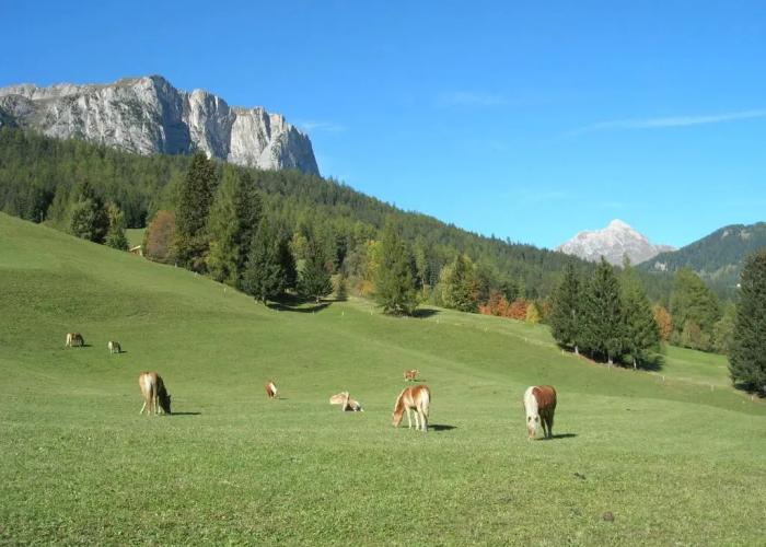 Hotel Arkadia - Adults Only