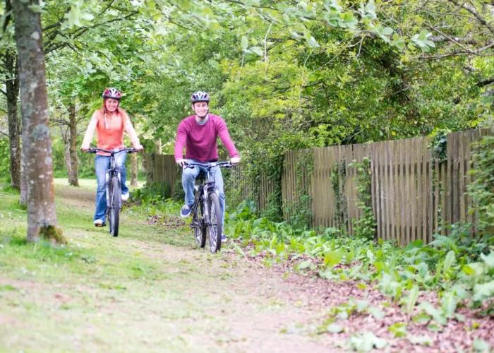 Trelawne Manor Holiday Park