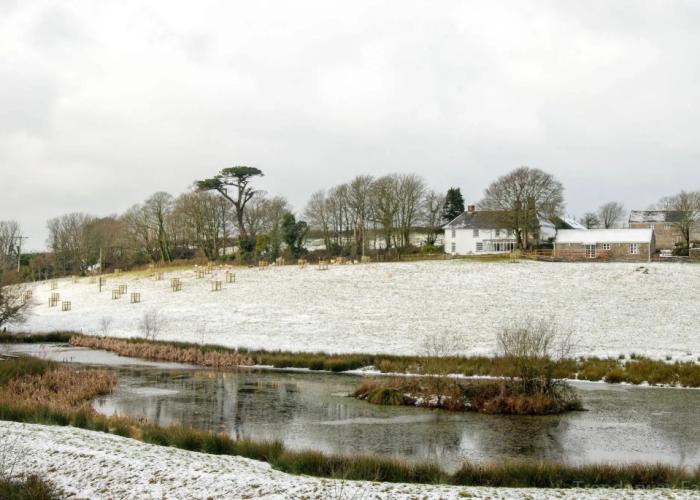 Trenderway Farm