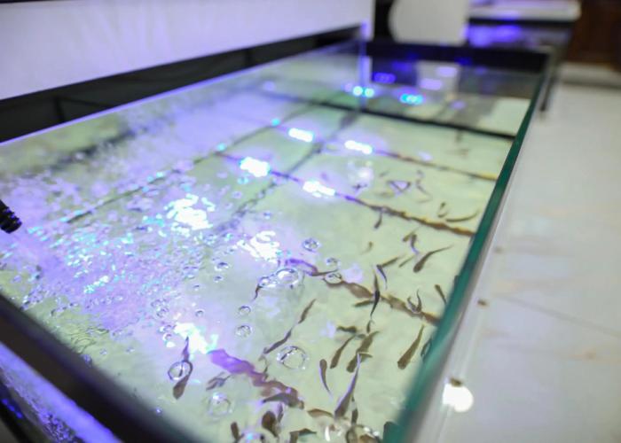 Emin Koçak Thermal & Spa - Convention Center