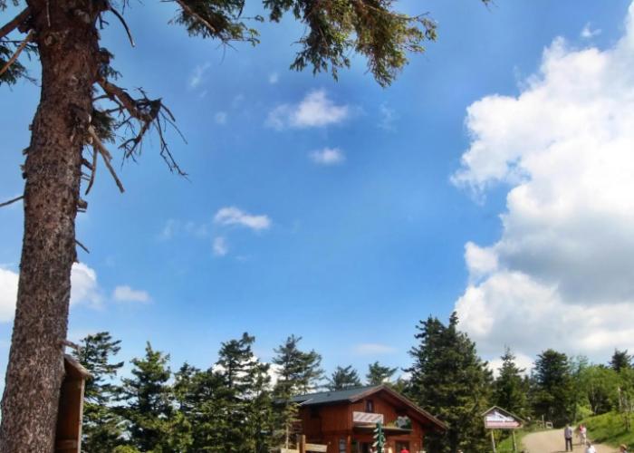 relexa hotel Harz-Wald