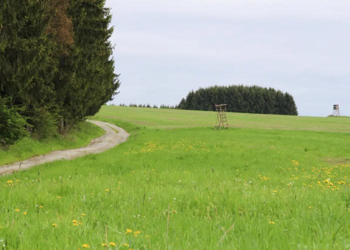 Apartment, Braunlage