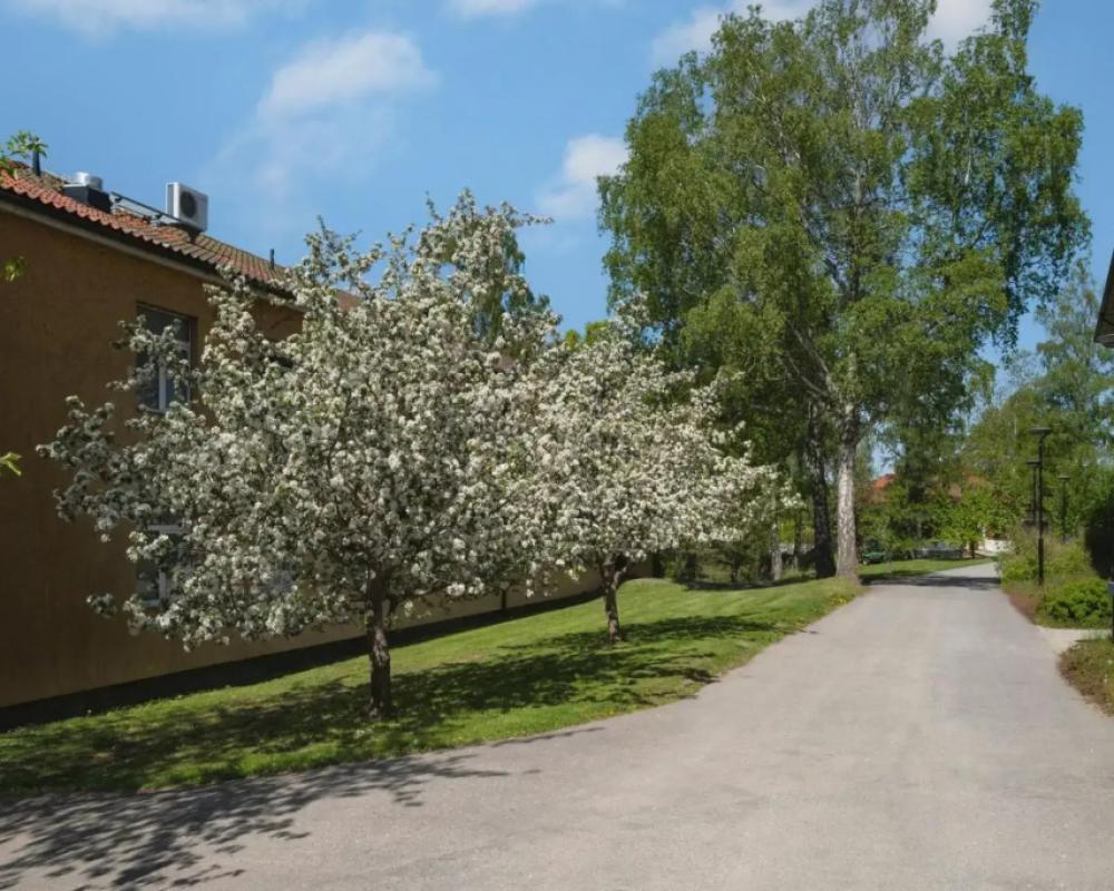 Bosön Hotell & Konferens