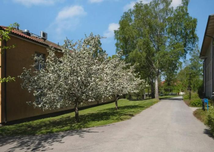 Bosön Hotell & Konferens