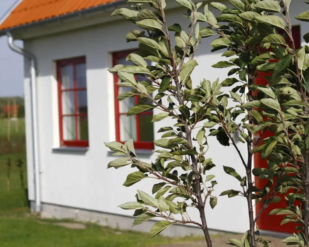 фото Hobykrok B&B