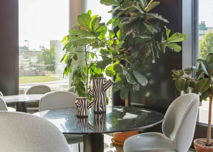 Best Western Plus Grow Hotel