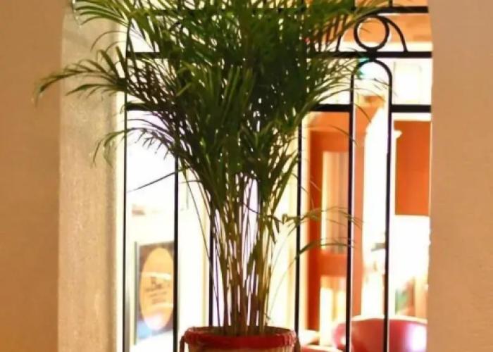 Hotell Havanna