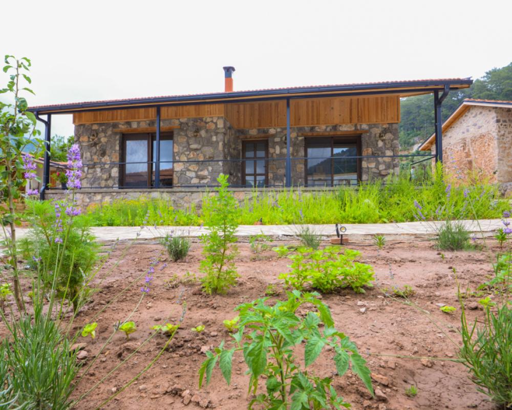 Dedehan Retreat Butik-hotel