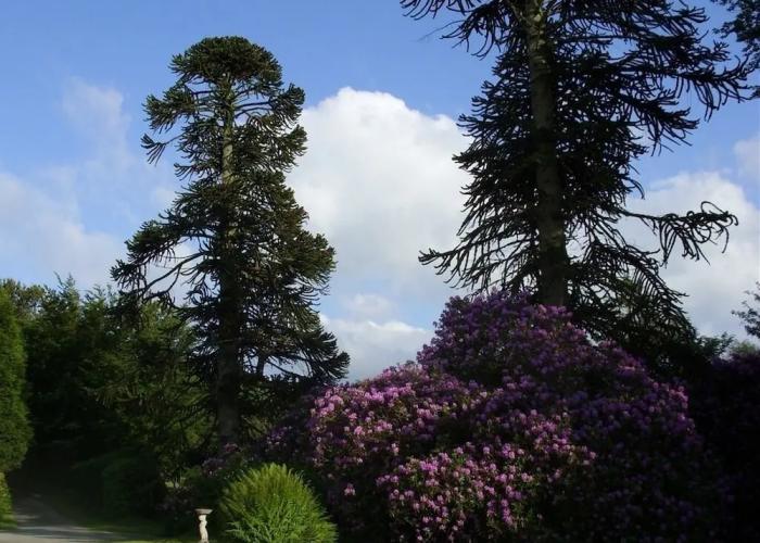 BNB Moorlands