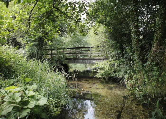 Barton's Mill