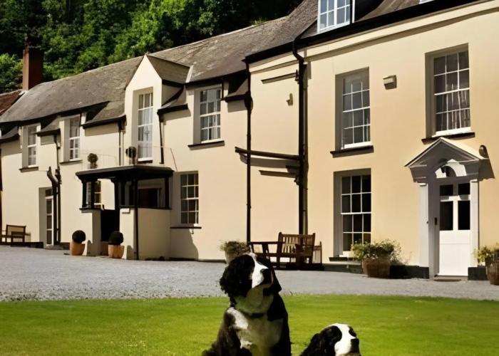 Combe House Hotel