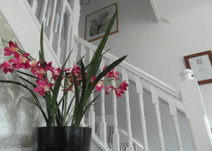 Harriet House B&B