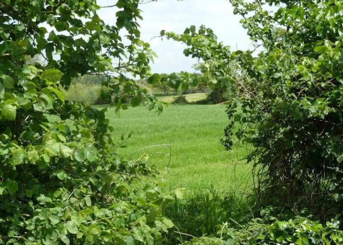 Hunston Mill Self Catering Cottages