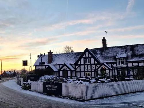 The White Lion