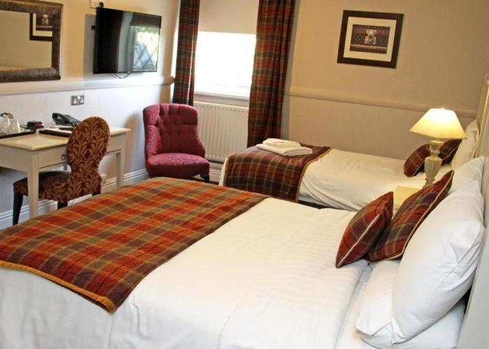 Honest Lawyer Hotel