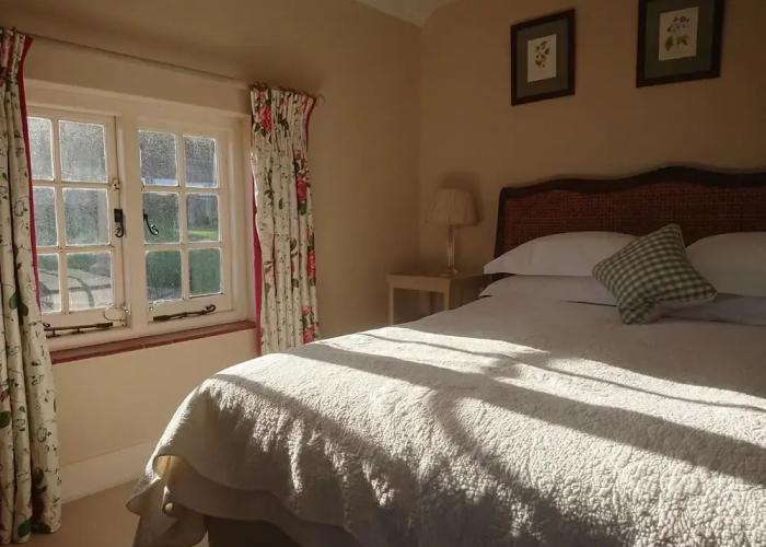 Minnie - Tiger Inn