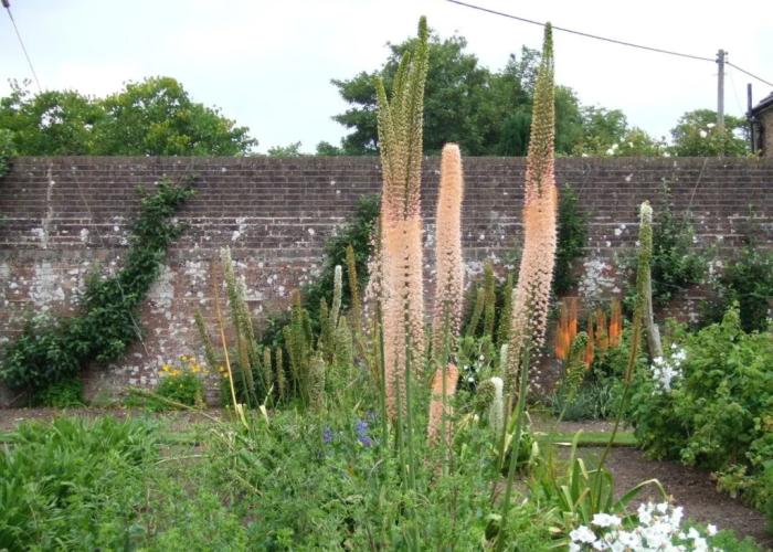 Courtlands Nurseries B&B