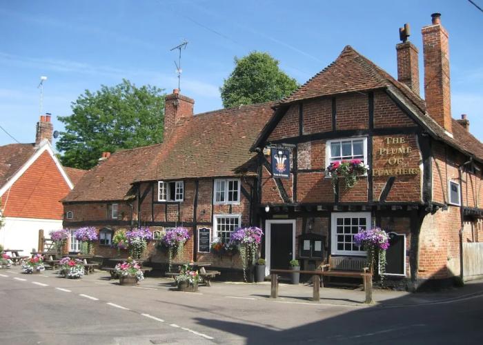 The Plume of Feathers