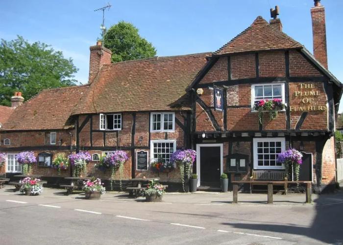 The Plume of Feathers