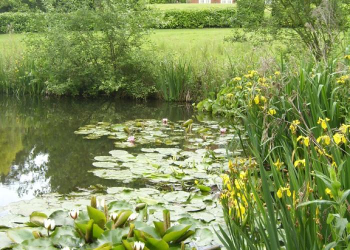 The Hall Farm B & B