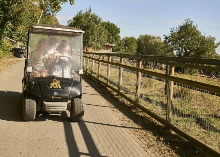 Treehouse Hotel - At Port Lympne Reserve